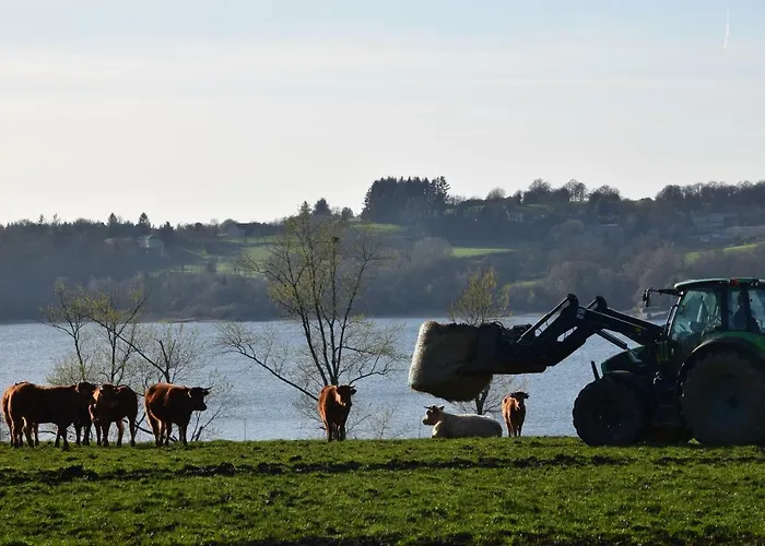 בית נופש Domaine Du Charouzech Salles-Curan